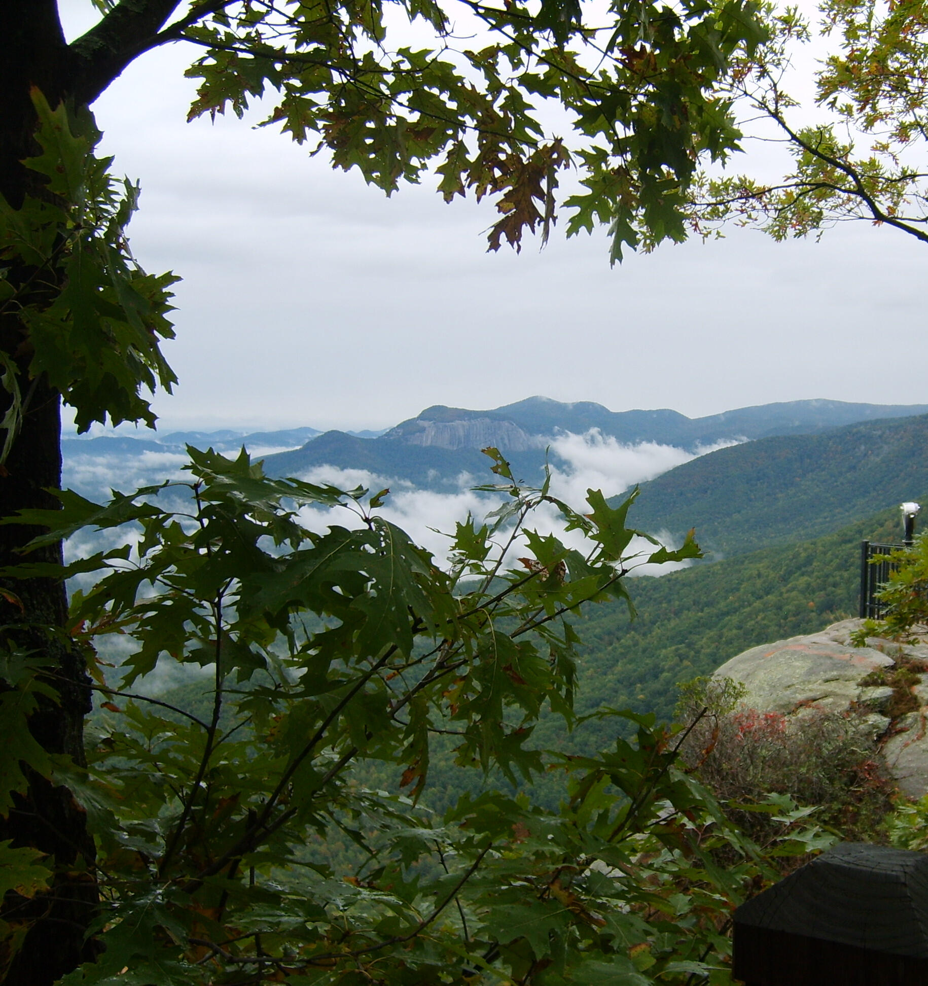 Natural keyhole view through leafy branches of clouds settling into mountain valley