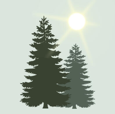 Forest Light Wellness Company Logo TM Copyright Graphic: Two coniferous trees, the one on the left darker and taller, with sun rays beaming down upon them